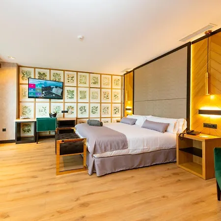 Hotel Antonio II-3