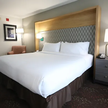 Holiday Inn O'Hare Area By Ihg-3