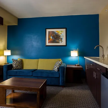 Fairfield By Marriott Inn & Suites Houston Downtown-3