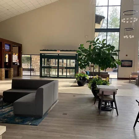 Holiday Inn Asheville - Biltmore West By Ihg-2
