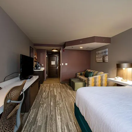 Hilton Garden Inn Rapid City-3