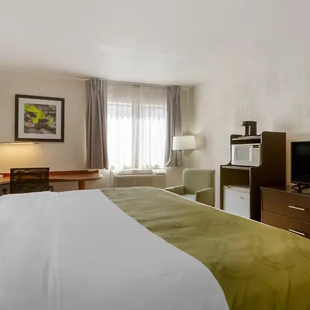 Quality Inn Alexis Rd-3