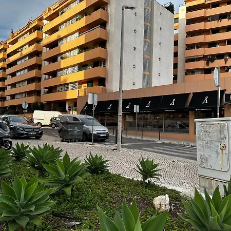 Bonita Vista ,Bonita Vida-2