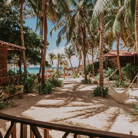 Petit Lafitte Beach Front Hotel & Bungalows-3