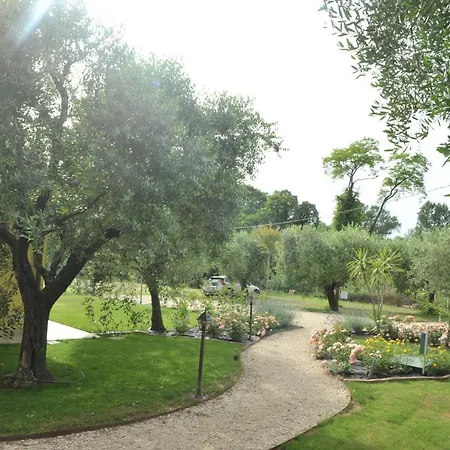 Paradiso Degli Ulivi B&B-3