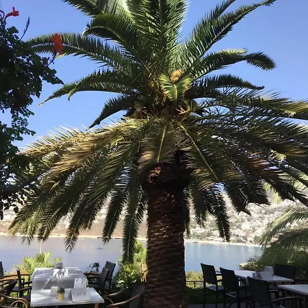 Patara Prince Hotel & Resort - Special Category-2