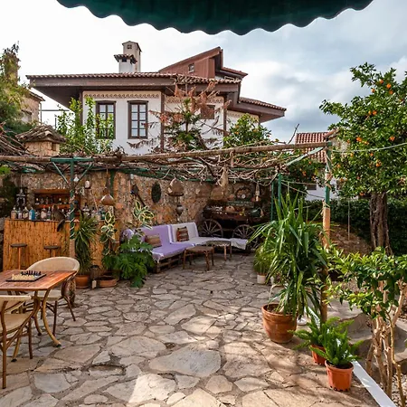 Villa Tulipan-2