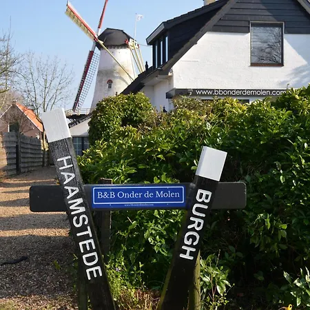 B&B Onder de Molen-3