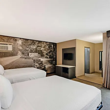 The Wander Hotel By Wyndham-3
