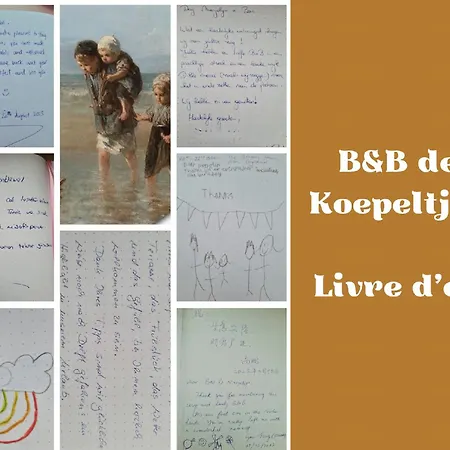 B&B de Koepeltjes-2