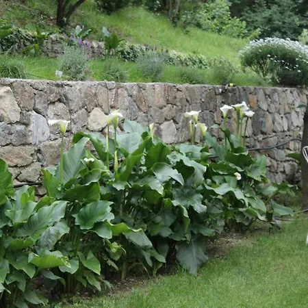 B&B Casale Coreallo Spotorno-2