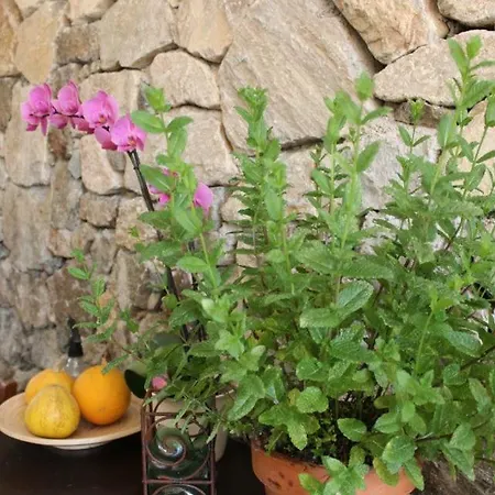 B&B Casale Coreallo Spotorno-3