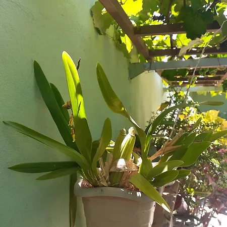 Hotel Vila Solar-3