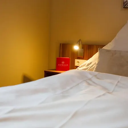 Auwald Hotel-3