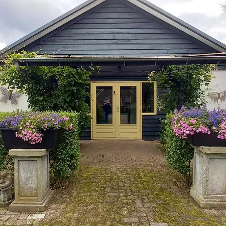 Roing B&B-3