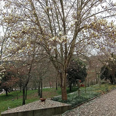 Vianashome-3