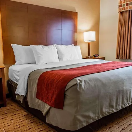 Comfort Inn & Suites Franklin East-3