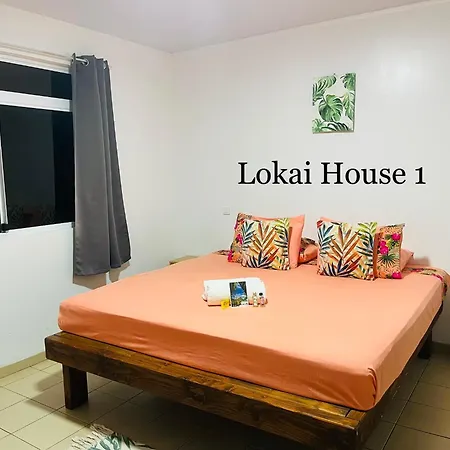 Lokai House-3