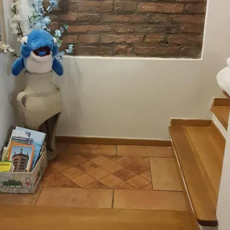 Il Delfino A Bologna-2