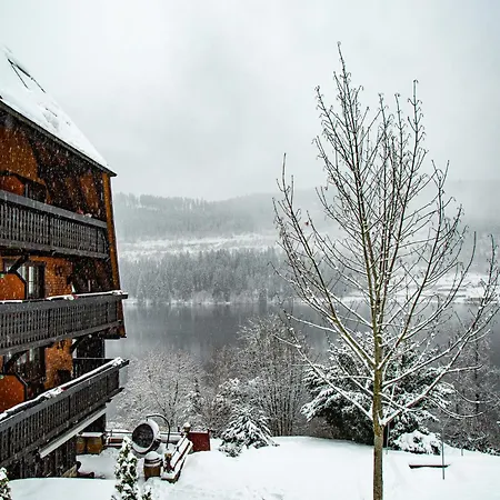Alemannenhof - Boutique Hotel Am Titisee-2
