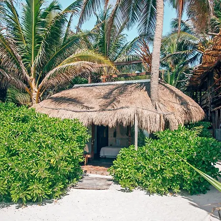 Orchid House Tulum Beach (Adults Only)-3