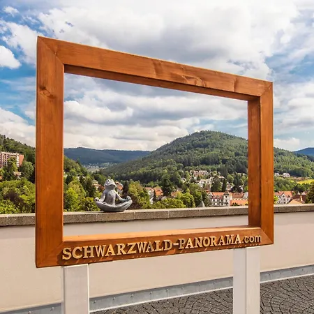 Schwarzwald Panorama-3