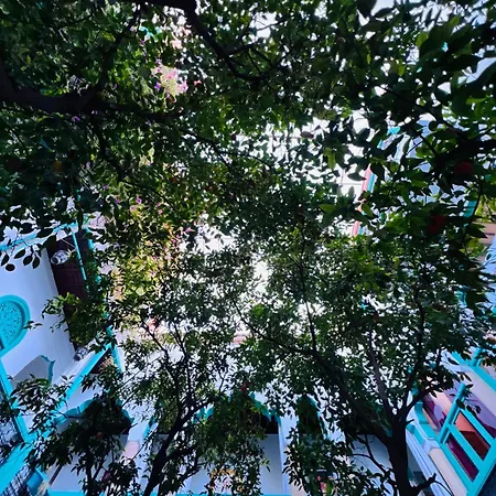 Riad Al Nour-3