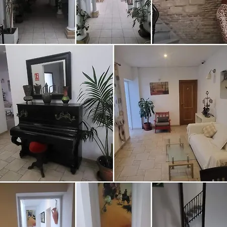 Hostal Fenix-3