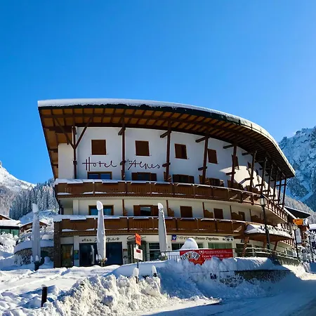 Hotel Des Alpes-3