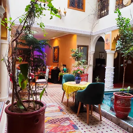 Riad Zahri-3