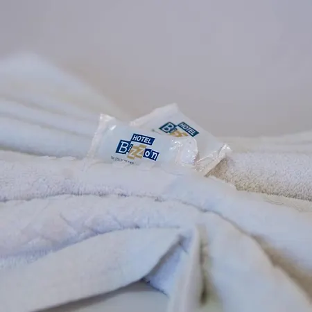 Hotel Bizzon-3