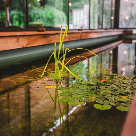 Utopia Hotel - Art & Nature Hotel-3