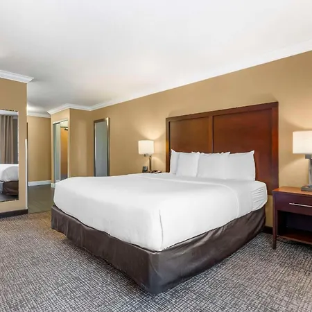 Comfort Inn & Suites Redwood Country-2