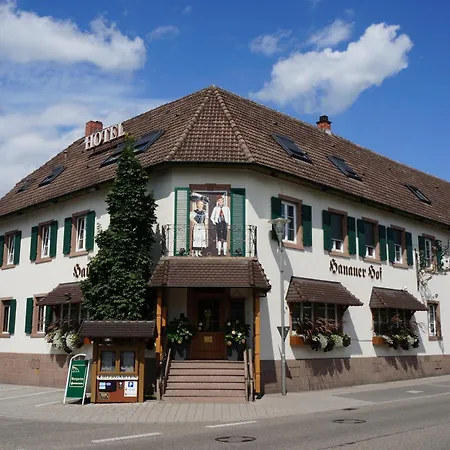 Hotel Hanauerhof-3