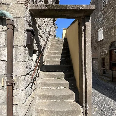 Al Cardinale-3
