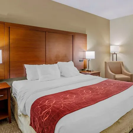 Comfort Suites At Virginia Center Commons-2
