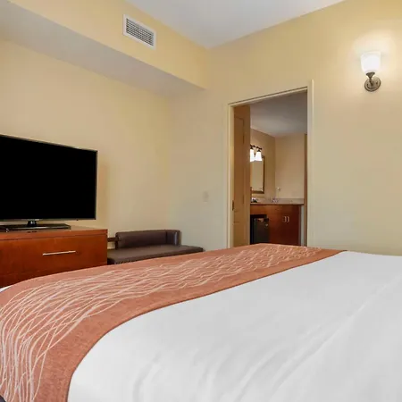Comfort Inn & Suites Daphne Spanish Fort - Mobile East-3