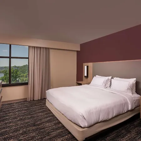Hilton Asheville Biltmore Park-3