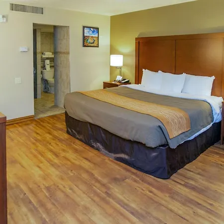 Comfort Inn Salt Lake City Downtown-3