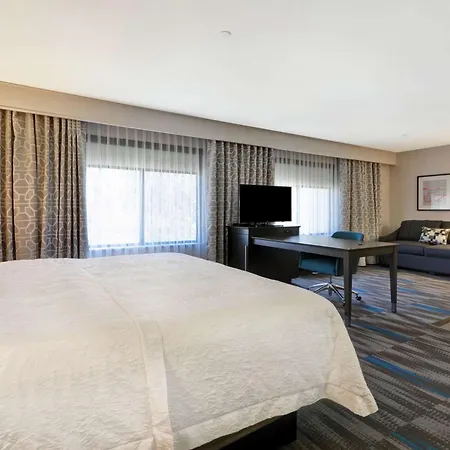 Hampton Inn & Suites Los Angeles Burbank Airport-2