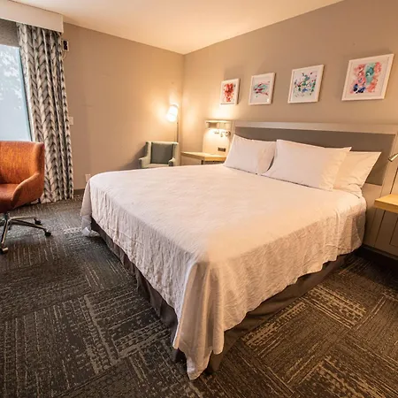 Hilton Garden Inn Asheville South-3