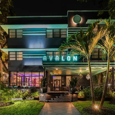 Avalon Hotel Downtown St. Petersburg-2