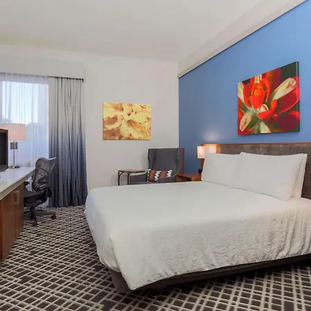 Hilton Garden Inn Dallas/Market Center-3