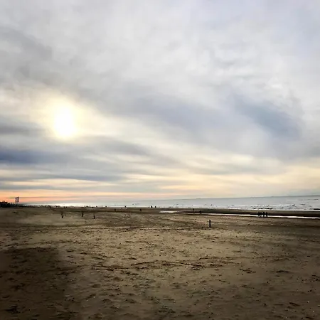 Duinzand-2