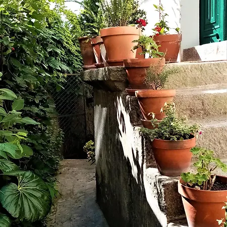 Casa Da Judiaria Velha-3