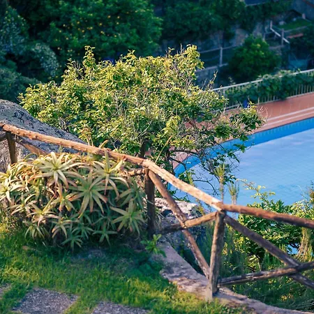 Hotel Cernia Isola Botanica-3