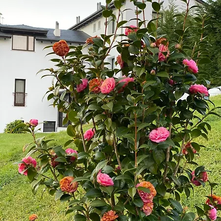 Finca Portizuelo-2
