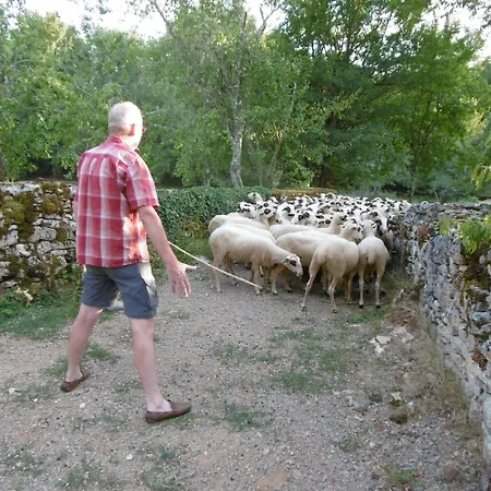 les roulottes du LOT-2