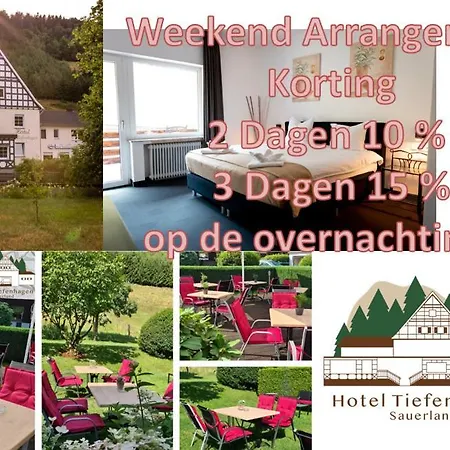 Hotel Tiefenhagen Sauerland-3
