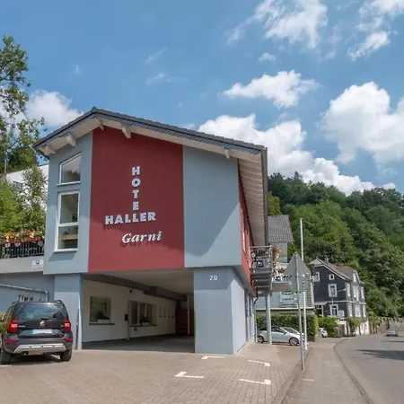Haller Hotel Garni-2